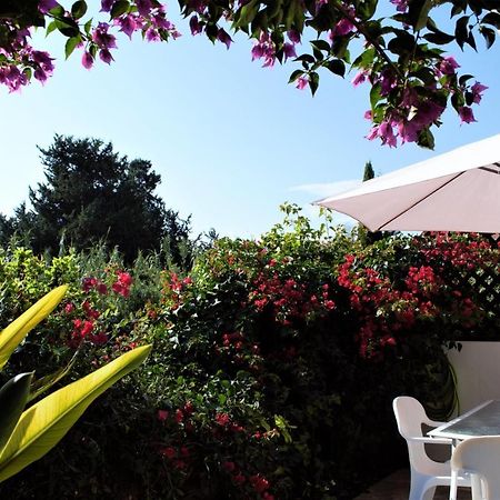 Townhouse In Paradise Gardens Пафос Экстерьер фото